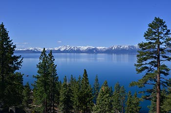Lake Tahoe trees and mountains