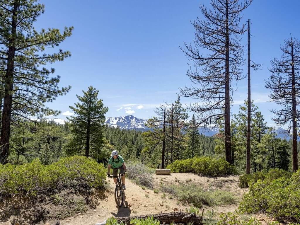 mountain bike tour lake tahoe