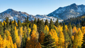 Fall colors Lake Tahoe