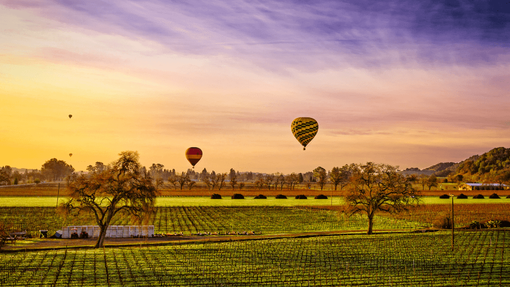 Hot Air Balloons Over One of Napa Valley's Vineyards